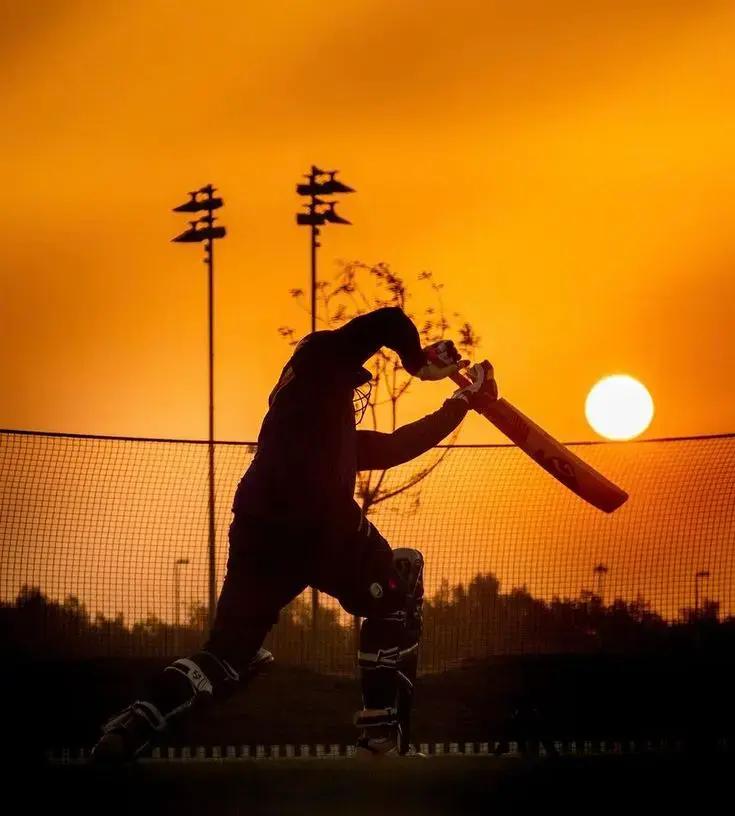 T-20 Cricket nights with communityimage1